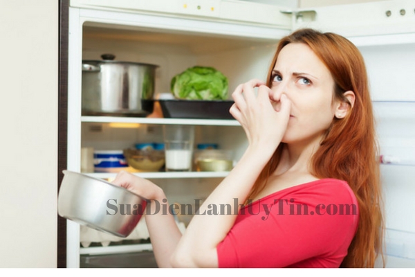 Khử mùi tủ lạnh – khử mùi hôi tủ lạnh hiệu quả nhất